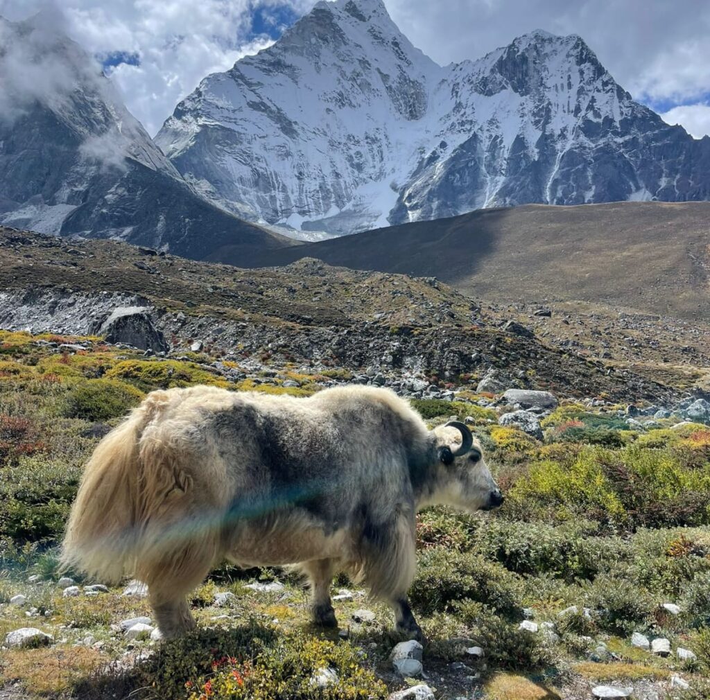 Complete Guide To Limi Valley Trek