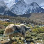 Complete Guide To&hellip;